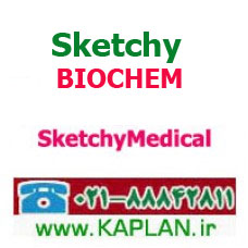 دوره ویدیویی بیوشیمی SketchyBIOCHEM